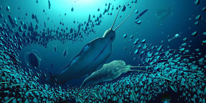 Der lateinische Name des Raubwurms, Timorebestia, bedeutet in etwa «furchteinflößende Bestie». - Foto: Bob Nicholls/BobNichollsArt/University of Bristol/dpa