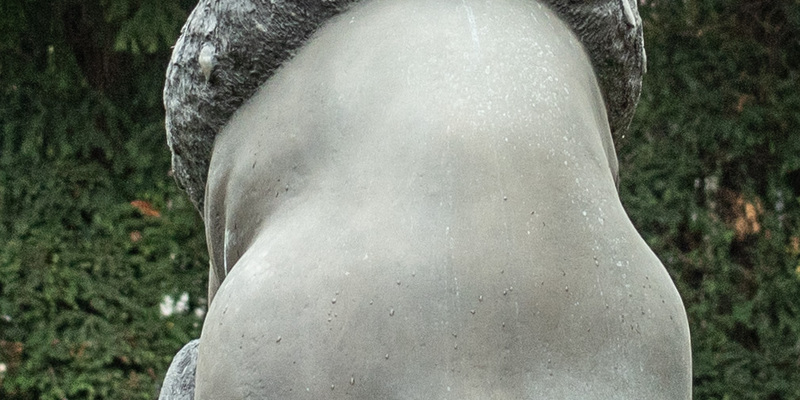 Seltene Rückansicht: Manfred Deix-Grab - Foto: andacht.at über pressetext.de