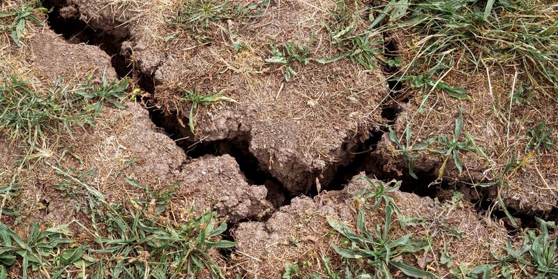 Pro Hektar könnten im Boden bis zu 15 Tonnen Kleinlebewesen vorhanden sein, sagte der BUND-Vorsitzende Olaf Bandt. Die Artenvielfalt sei enorm. - Foto: Daniel Vogl/dpa