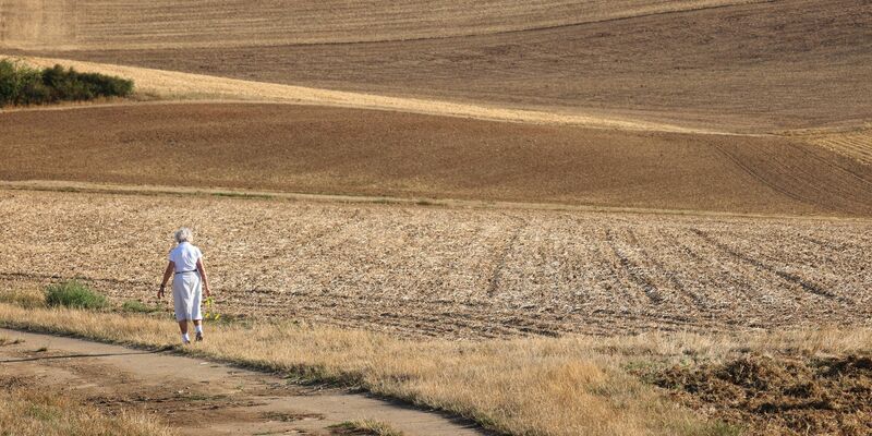 Wissenschaftler warnen eindringlich vor den unumkehrbaren Folgen einer weiteren globalen Erwärmung. - Foto: Karl-Josef Hildenbrand/dpa