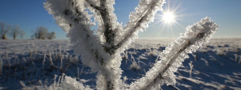 Frostiges Wetter im Oberharz bei Elbingerode. - Foto: Matthias Bein/dpa