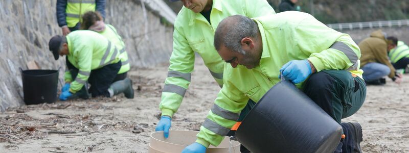 In mühsamer Handarbeit werden die Plastikkügelchen aufgesammelt. - Foto: Jorge Peteiro/EUROPA PRESS/dpa