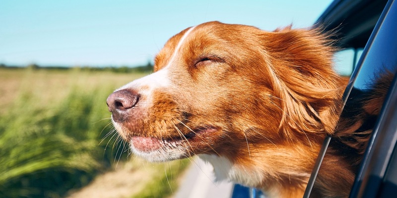 Mobility Guide: Neuer Kompass für Elektrifizierung - Foto: presseportal.de