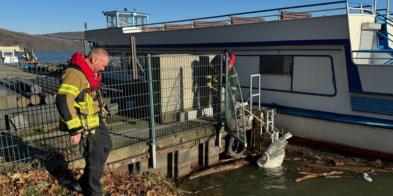 FW-EN: Feuerwehr und Ordnungsamt retten verletzten Schwan - Foto: presseportal.de