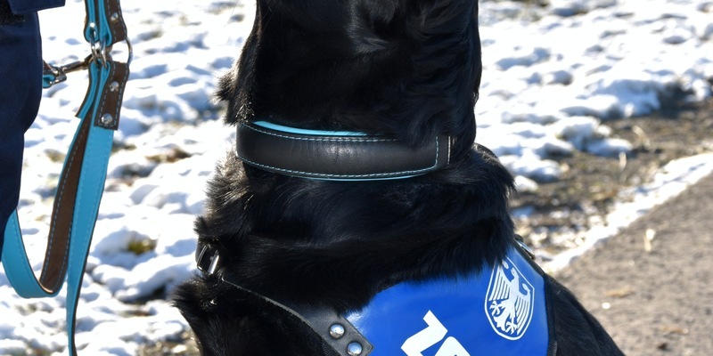 HZA-H: Gemeinsame Pressemitteilung der Staatsanwaltschaft Stade und des Hauptzollamts Hannover - Foto: presseportal.de