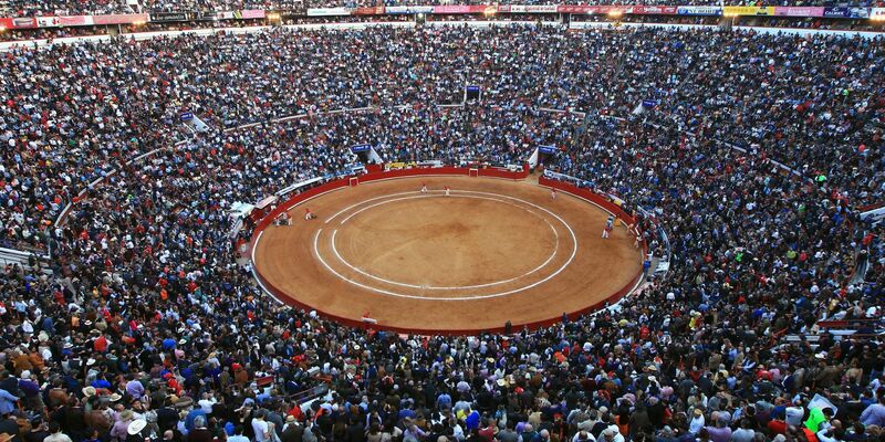 Stierkampfgegner prangern das Leiden und Töten der Tiere an. - Foto: Mario Guzman/EFE/EPA/dpa