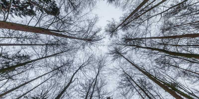 Am Wochenende wird es etwas wärmer, dafür aber weniger sonnig. - Foto: Markus Scholz/dpa