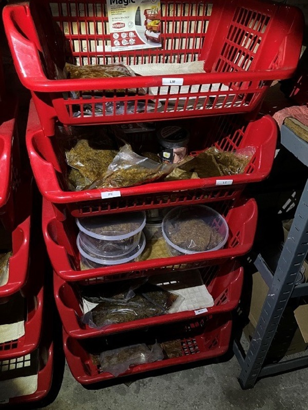 Berlin Am 05.01.2024 führten Beamte der Kontrolleinheit Verkehrswege