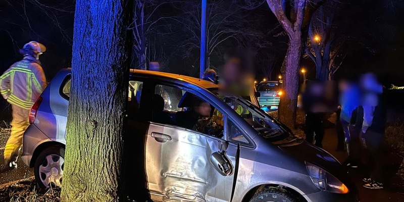 POL-DU: Friemersheim: Honda kommt von Fahrbahn ab und kollidiert mit einem Baum - Foto: presseportal.de