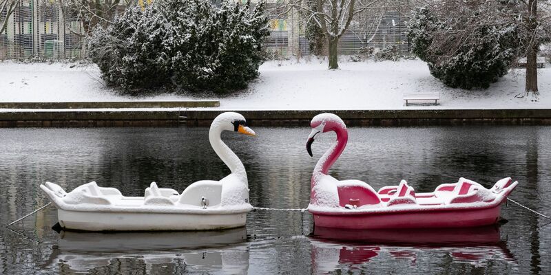 Schneebedeckt: Zwei Tretboote in Form eines Schwans und eines Flamingos auf der Havel in Potsdam. - Foto: Georg Moritz/dpa