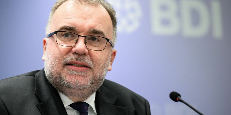 Siegfried Russwurm ist Präsident des Bundesverbandes der Deutschen Industrie (BDI). - Foto: Bernd von Jutrczenka/dpa