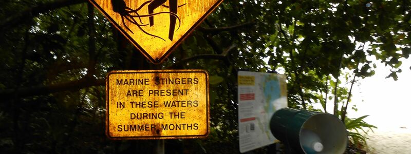 Schilder warnen giftigen Quallen: Normalerweise leben Irukandjis eher in tropischeren Gewässern im hohen Norden. Nun sorgen sie für Probleme auf der australischen Urlaubsinsel K'gari (früher Fraser Island). - Foto: Carola Frentzen/dpa