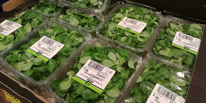 Feldsalat (Archiv) - Foto: über dts Nachrichtenagentur