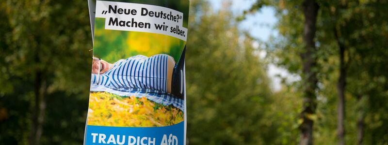 Ein AfD-Wahlplakat aus dem Jahr 2017 in Dresden. - Foto: Arno Burgi/dpa