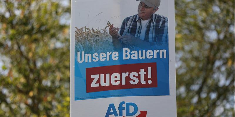 AfD-Wahlplakat zur Landtagswahl in Bayern 2023 (Archiv) - Foto: über dts Nachrichtenagentur