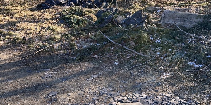 POL-LDK: Illegal Müll entsorgt+Unfallflucht in Katzenfurt+Zeugenaufruf nach Hundebiss+ - Foto: presseportal.de