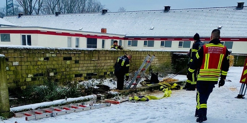 FW-GE: Pferd in Mistgrube gefallen - durch Feuerwehr gerettet - Foto: presseportal.de