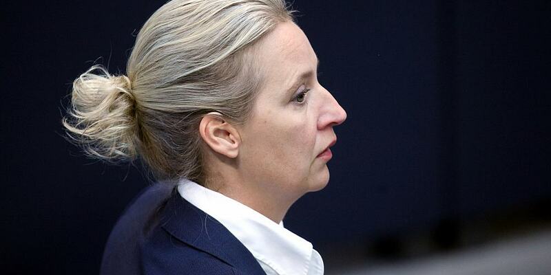 Alice Weidel (Archiv) - Foto: über dts Nachrichtenagentur