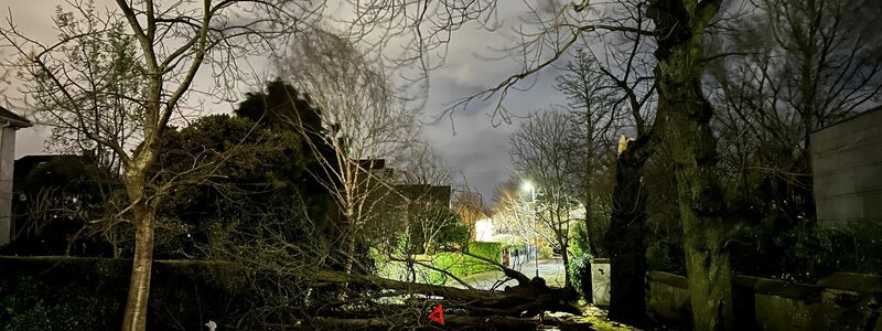 Ein abgebrochener Ast versperrt die Notting Hill Road in Süd-Belfast. - Foto: Liam Mcburney/PA Wire/dpa