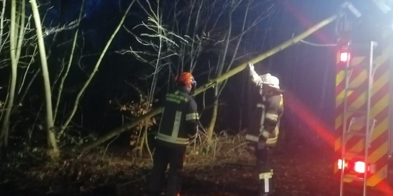 FW-WRN: Löschgruppe Langern entfernt umgestürzten Baum - Foto: presseportal.de