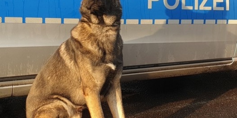 POL-HH: 240123-2. Mehrere Durchsuchungsbeschlüsse nach Verdacht des Drogenhandels in Hamburg-Wilhelmsburg vollstreckt - Foto: presseportal.de