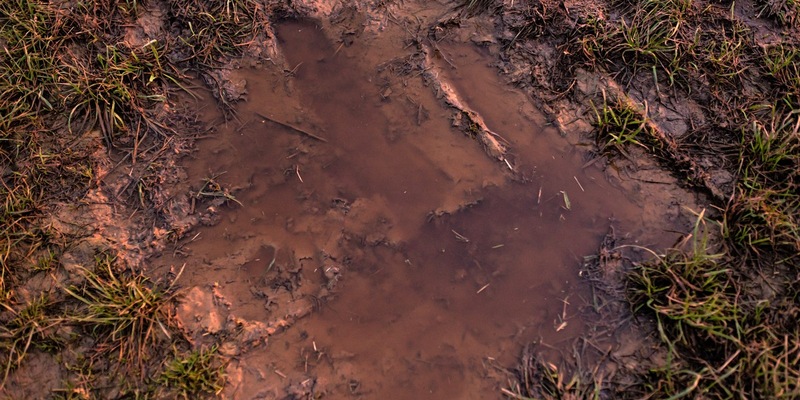 Deutschland erlebt Extreme: Von Hitze und Dürre zu Rekord-Niederschlägen - Foto: presseportal.de