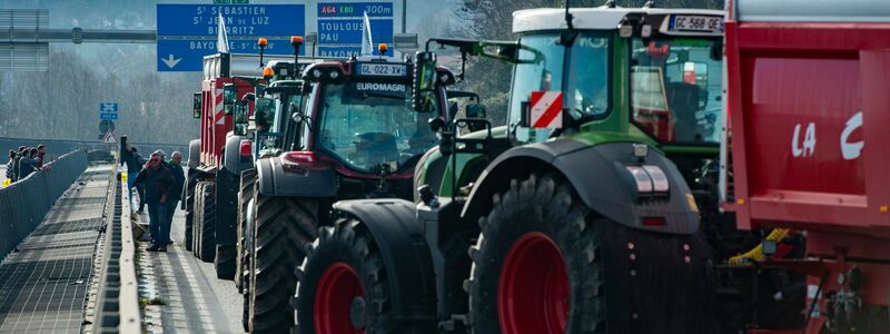 Französische Landwirte protestieren seit Monaten für eine bessere Bezahlung und gegen die ihrer Meinung nach übermäßige Regulierung, steigende Kosten und andere Probleme. - Foto: Nicolas Mollo/AP/dpa