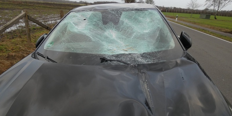 POL-DEL: Landkreis Oldenburg: Unzureichende Ladungssicherung +++ Eine Person bei Verkehrsunfall in Dötlingen leicht verletzt - Foto: presseportal.de
