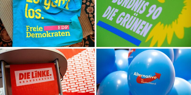 Nach den Enthüllungen über ein Treffen rechtsradikaler Aktivisten in Potsdam verzeichnen mehrere Parteien Mitgliederzuwächse - darunter auch die AfD. Die Grünen sehen nach eigenen Angaben einen starken Zuwachs. - Foto: Patrick Pleul/dpa-Zentralbild/dpa