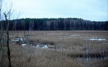 Moorlandschaft (Archiv) - Foto: über dts Nachrichtenagentur