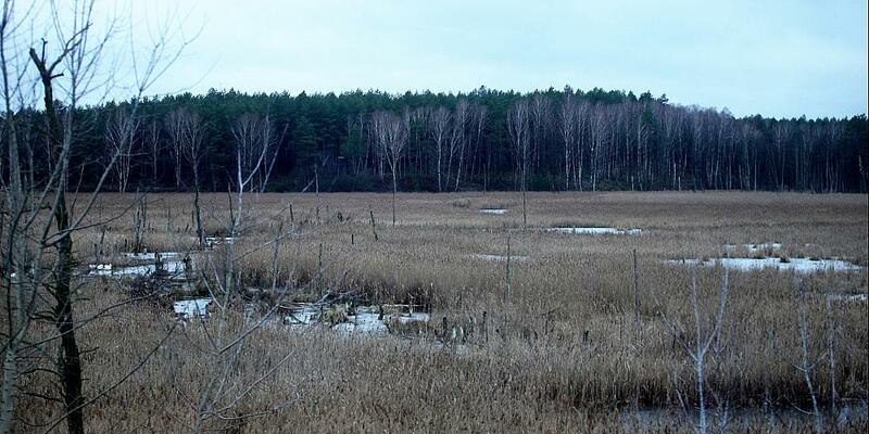 Moorlandschaft (Archiv) - Foto: über dts Nachrichtenagentur