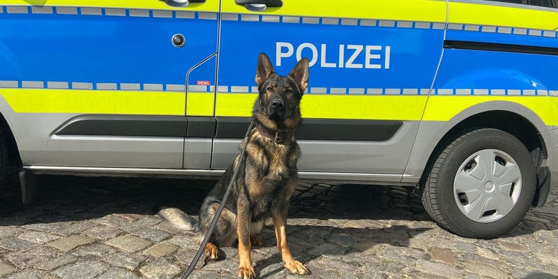 POL-HH: 240125-2. Walter findet mutmaßlichen Einbrecher in Hamburg-Niendorf - Zuführung - Foto: presseportal.de