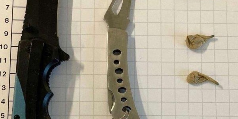 FW Bad Säckingen: Gartenhütte ausgebrannt - Foto: presseportal.de