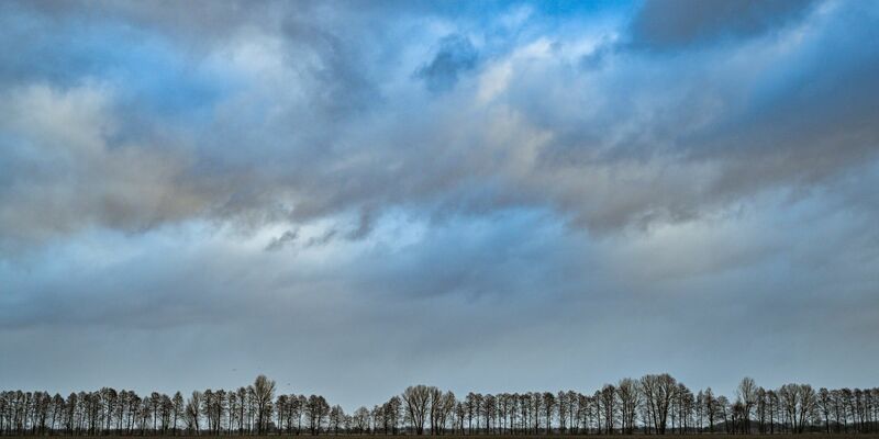 Wolken ziehen über die Landschaft im Oderbruch im Osten von Brandenburg. - Foto: Patrick Pleul/dpa
