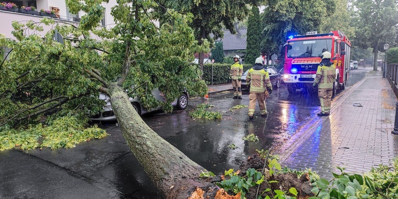 FW Dresden: Mehrere sturmmbedingte Einsätze im Stadtgebiet - Foto: presseportal.de