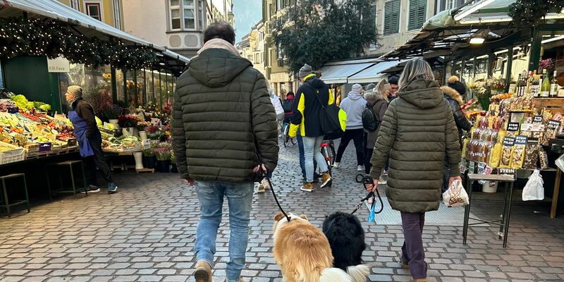 Ist das Häufchen per DNA-Abgleich erstmal identifiziert, könnte das in Bozen für Hundebesitzer bald sehr teuer werden. - Foto: Christoph Sator/dpa
