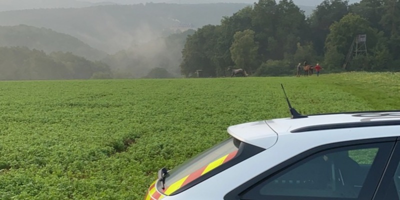 POL-PDNW: Alkoholisierter Kleinkraftradfahrer ohne Führerschein - Foto: presseportal.de