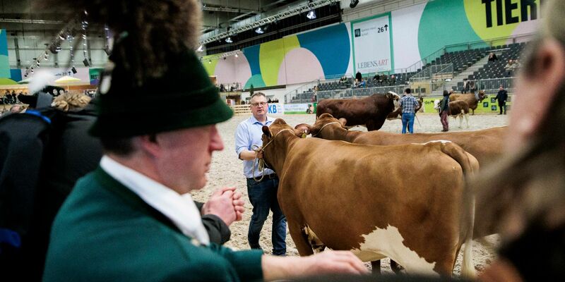 Vom 19. bis 28. Januar 2024 findet die 88. Ausgabe der Grünen Woche, einer internationalen Leitmesse für Ernährung, Landwirtschaft und Gartenbau, statt. - Foto: Carsten Koall/dpa