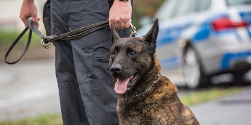 BPOL-KS: Gleissperrungen und Polizeieinsatz wegen zurückgelassenem Koffer - Foto: presseportal.de