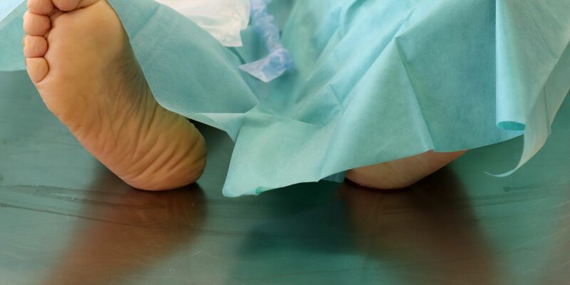 Die Polizei hat in Spanien eine Bande ausgehoben, die illegal mit Leichen gehandelt haben soll. - Foto: Bernd Wüstneck/dpa