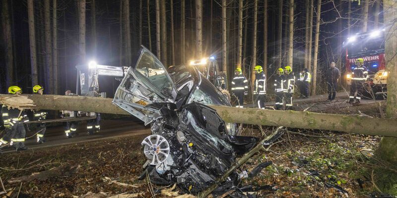Feuerwehrleute betrachten das Auto im österreichischen Aurolzmünster, das in einen liegenden Baumstamm krachte. - Foto: Daniel Scharinger/APA/dpa