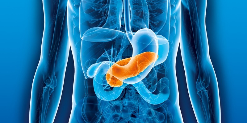 Weltkrebstag: 40 Millionen Euro für die Bekämpfung von Bauchspeicheldrüsenkrebs / Deutsche Krebshilfe richtet besonderes Förderschwerpunktprogramm ein - Foto: presseportal.de