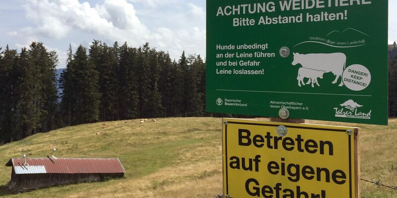 Ein Schild warnt vor dem Betreten einer Kuhweide (Symbolbild). - Foto: Sabine Dobel/dpa