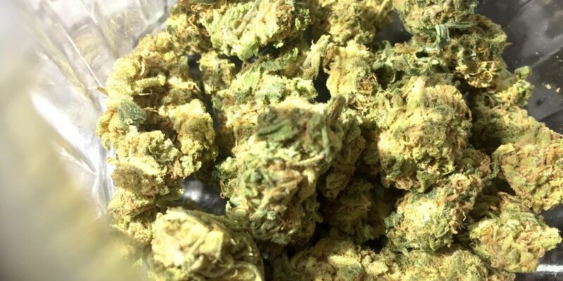 Seit Monaten laufen CDU und CSU gegen die Ampel-Pläne zur Entkriminalisierung von Cannabis Sturm. - Foto: Lino Mirgeler/dpa