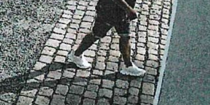 LPI-G: Einbruch in Vierseitenhof - Wer kennt diesen Mann? - Foto: presseportal.de