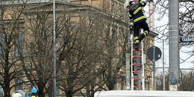 FW-M: Auto fällt Ampelmast (Maxvorstadt) - Foto: presseportal.de