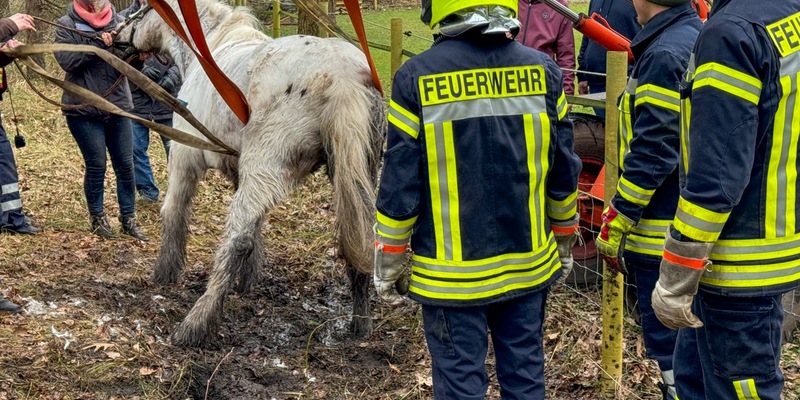 FW Flotwedel: Ortsfeuerwehr Nienhof befreit Pferd aus misslicher Lage - Foto: presseportal.de