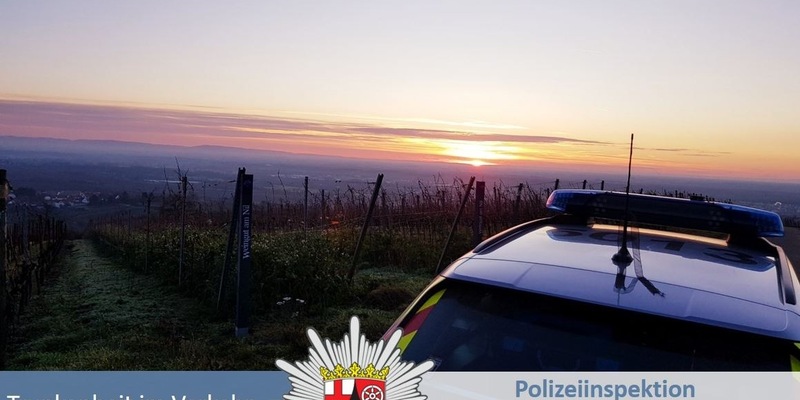 POL-PDNW: Mit 1,75 Promille am Steuer erwischt - Foto: presseportal.de