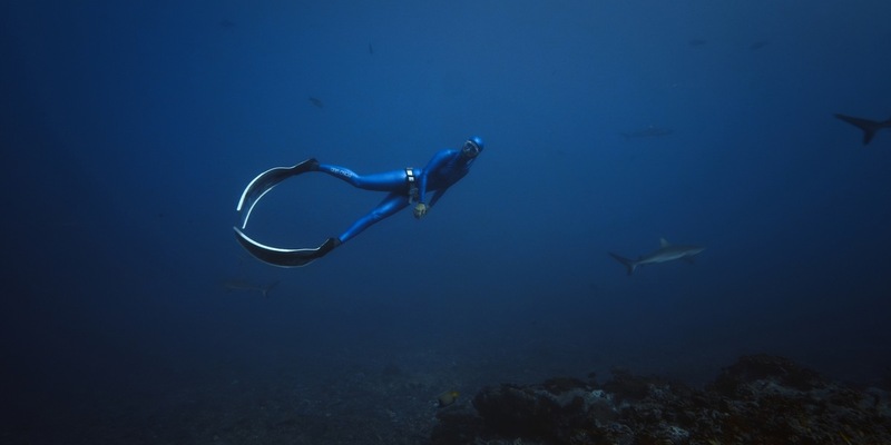Waterwoman: vier neue Unterwasser-Abenteuer mit Anna von Boetticher, Deutschlands erfolgreichster Apnoe-Taucherin - Foto: presseportal.de