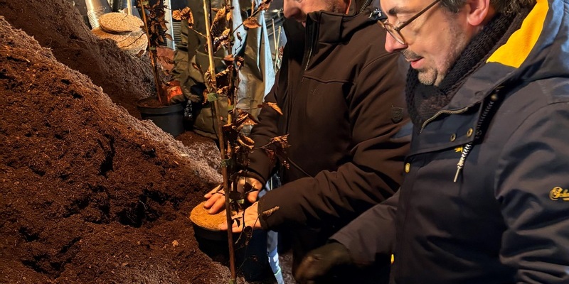 Rouenhoff: Mehr Verlässlichkeit und Planungssicherheit schaffen - Foto: presseportal.de